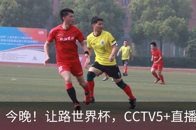 今晚！让路世界杯，CCTV5+直播中国女排VS法国，小将领衔冲击5连胜