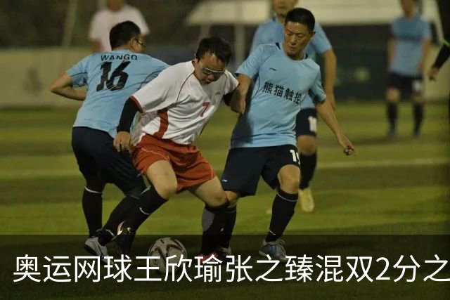 奥运网球王欣瑜张之臻混双2分之差摘银 创造历史