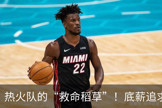 热火队的“救命稻草”！底薪追求詹姆斯？字母哥是不是选错了？