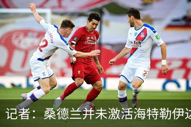记者：桑德兰并未激活海特勒伊达的2300万欧买断条款，打算压价